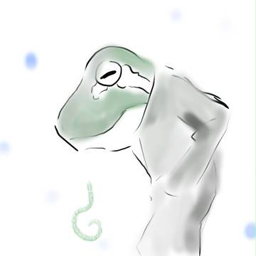 傘いらず