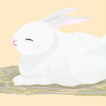 うさうさ