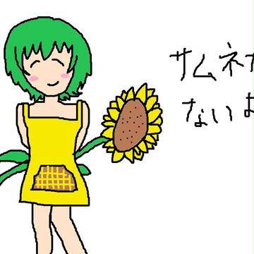 ひまたん