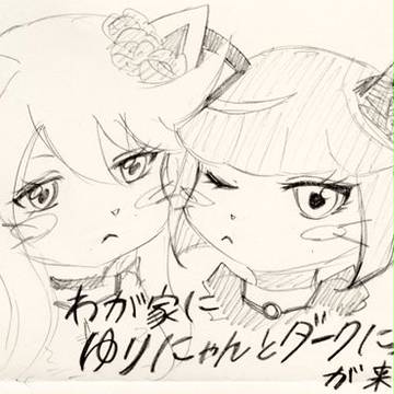 我が家にゆりにゃんとダークにゃんが来た!