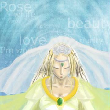 白バラの花嫁