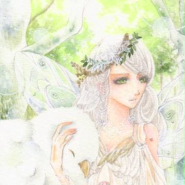 ティタニアの森