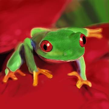 花の上