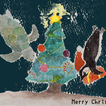 Aqua christmas