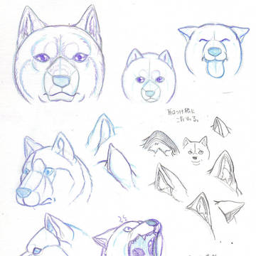 ざっくりした犬の描き方　
