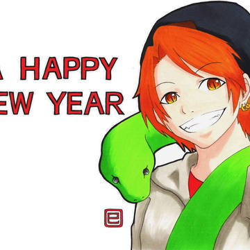 2013 年賀状
