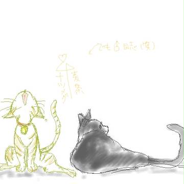 2012年11月～チャットログ(猫のみ)