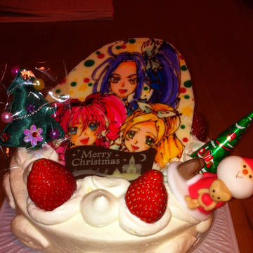 クリスマスケーキです。2011
