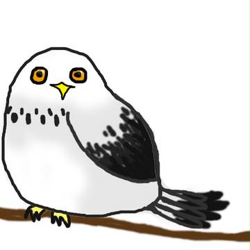 Brid