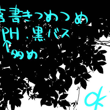 落書き詰め