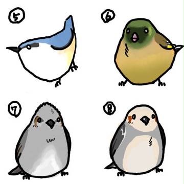 近所の野鳥その２