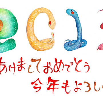 2013 ver.巳