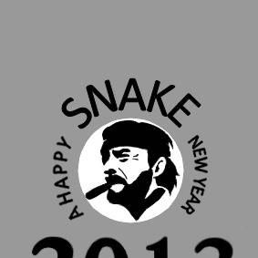 2013 SNAKE