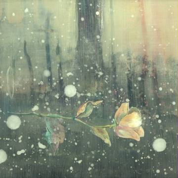 ベランダの花