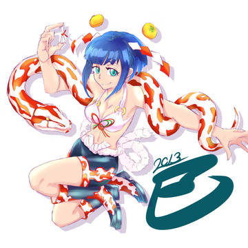 GASHO2013