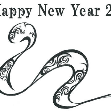 2013 + 蛇