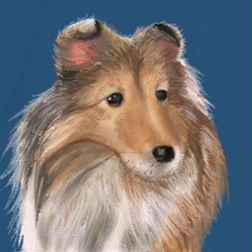 犬