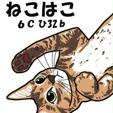 インテのお知らせ