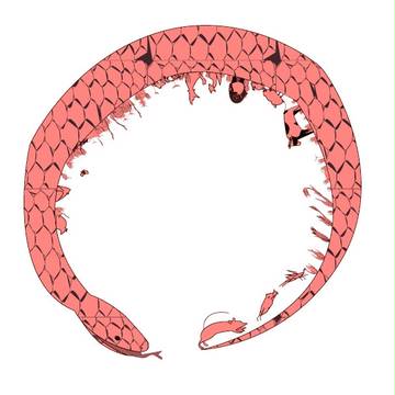 蛇詰め