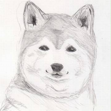 いぬっころ2
