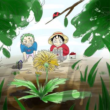 one piece- ゾロル 소꿉친구