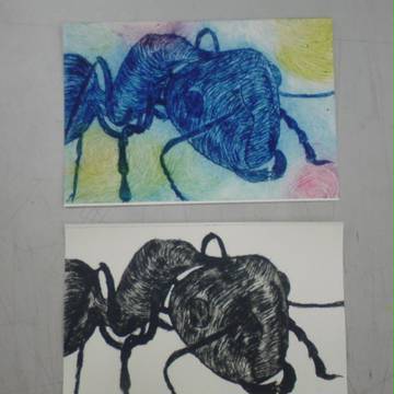 ＡＮＴ