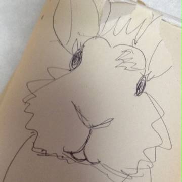 ウサギさん