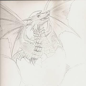 Baby dragon