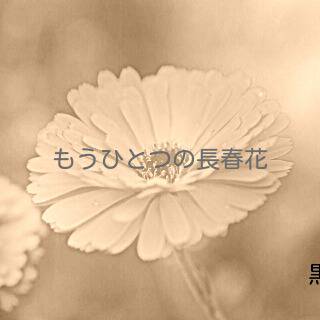 もうひとつの長春花 表紙