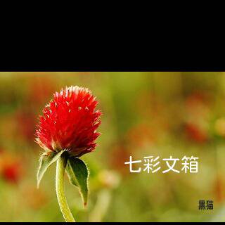 七彩文箱 表紙