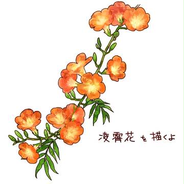のうぜんかずら
