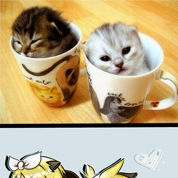 猫 猫 ボーカロイド