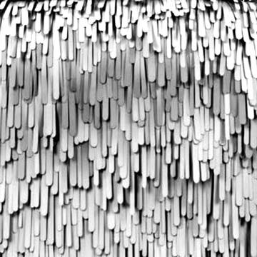 Rain-