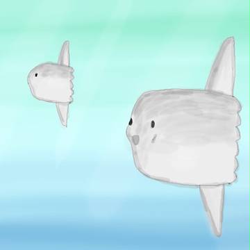マンボウ