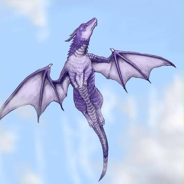 空中散歩