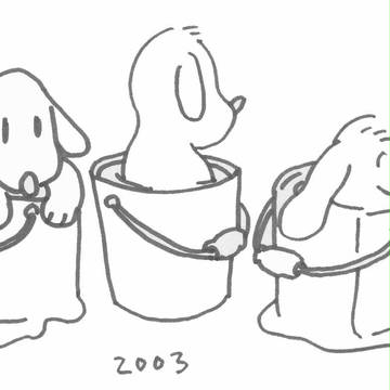3わんこ