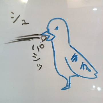 豆鉄砲を食らわない