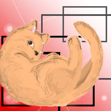 犬より猫派