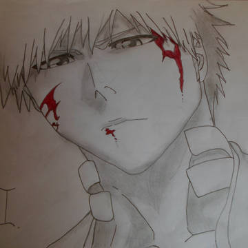 Kurosaki Ichigo 366