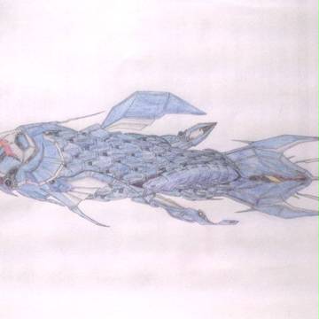 KING FOSSIL