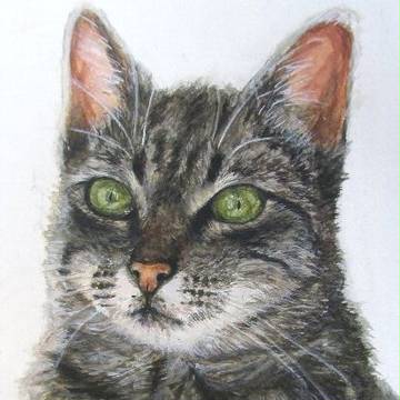 水彩猫