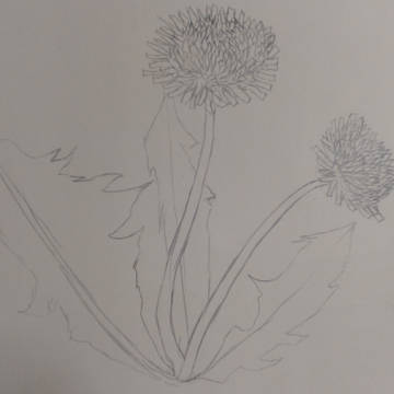 落書き