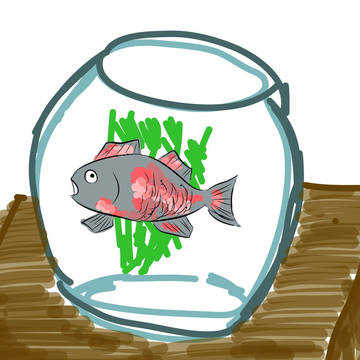 魚
