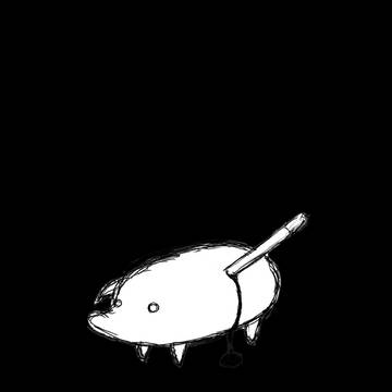 片耳豚