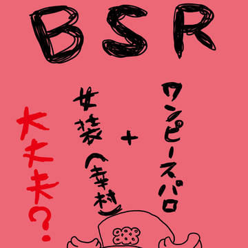 ＢＳＲワンピパロ