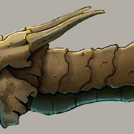 Dragon_Head