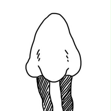 はなちゃん