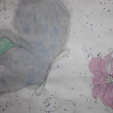 蝶と花