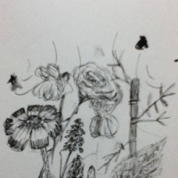 花２