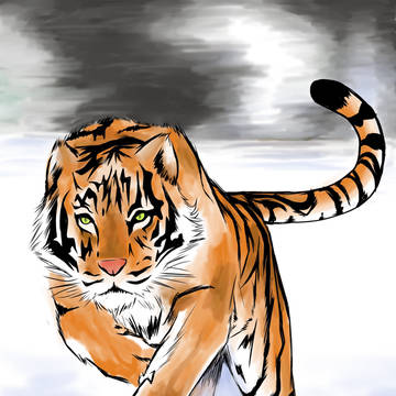 Tiger in snow